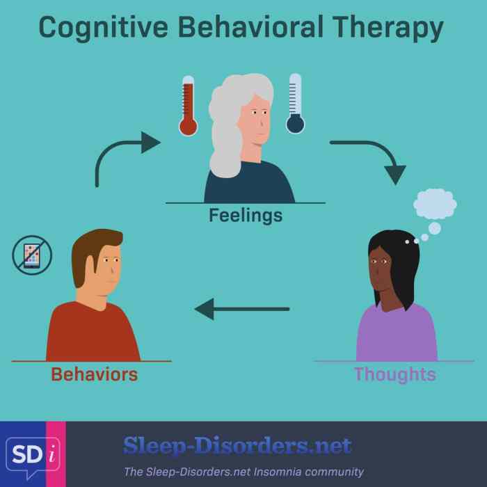 Therapy for insomnia and sleep issues