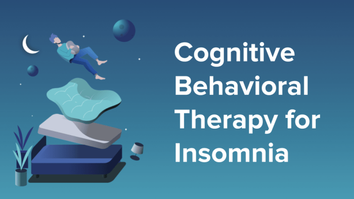Therapy for insomnia and sleep issues